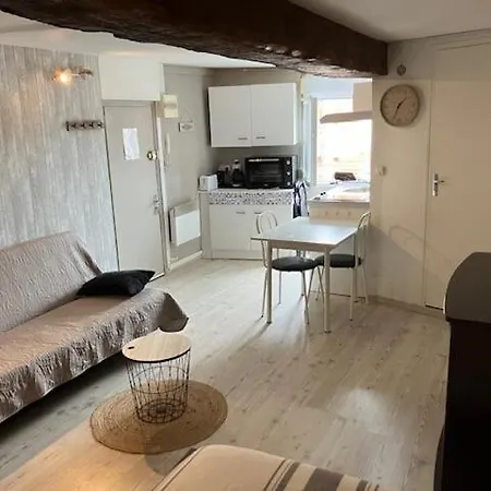 Charmant Studio A 2 Pas Du Centre Apartment *